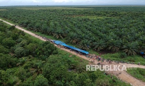 Warga Desa Sogo mendirikan tenda saat melakukan aksi unjukrasa di lahan perkebunan kelapa sawit PT Bukit Bintang Sawit (BBS), Kumpeh, Muarojambi, Jambi, Jumat (15/2/2019). 