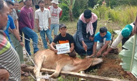 Cara Menyembelih Hewan Qurban Sesuai Perintah Rasulullah (ilustrasi)