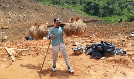 Warga Dusun Cimapag Desa Sirnaresmi Kecamatan Cisolok, Kabupaten Sukabumi melakukan evakuasi padi yang tertimbun longsor Selasa (8/1).