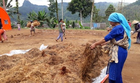 Warga Dusun Cimapag Desa Sirnaresmi Kecamatan Cisolok, Kabupaten Sukabumi melakukan evakuasi padi yang tertimbun longsor Selasa (8/1).