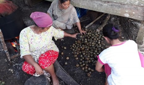 Warga dusun Sitandiang, Tapsel, sedang mengolah biji aren menjadi kolang-kaling.