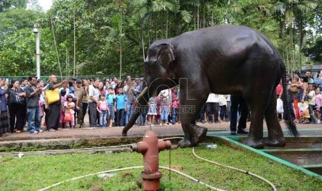  Warga Jakarta dan sekitarnya menyaksikan gajah saat dimandikan di Taman Margasatwa Ragunan (TMR), Jakarta Selatan, Jumat (9/8). (Republika/Agung Supriyanto)