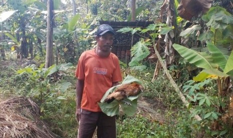 Warga Kampung Cintamanah, Kota Tasikmalaya menunjukkan ayam yang mati mendadak, Rabu (19/7)