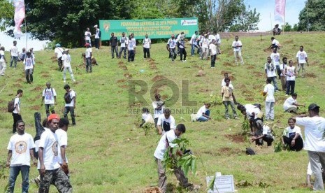   Warga melakukan penanaman pohon di Yonif Arai 752 Manokwari, Papua Barat, Kamis (21/11).   (Republika/Edi Yusuf)