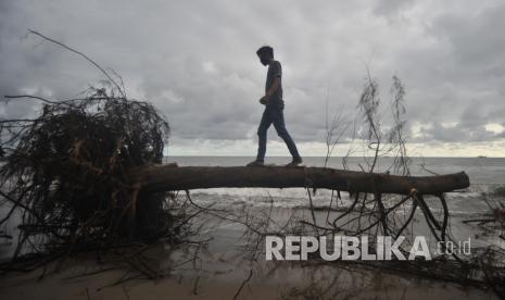 Warga melihat kondisi pohon cemara yang tumbang akibat abrasi di Pantai Pasir Jambak, Padang, Sumatera Barat, Kamis (4/6/2020). Abrasi di objek wisata tersebut mengakibatkan bibir pantai rusak dan banyak pohon cemara pelindung pantai itu tumbang. 