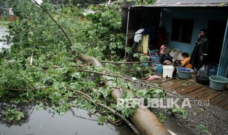 Warga melihat pohon tumbang setelah diterpa angin kencang.