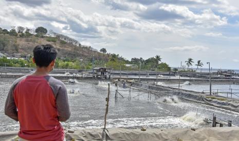 Tambak ikan. Gaung manfaat program Electrifying Agriculture oleh PLN semakin terdengar.