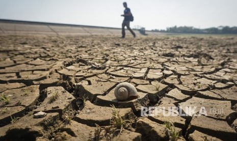 Warga melintas di area Waduk Botok, Kedawung, Sragen, Jawa Tengah, Selasa (25/6/2019).