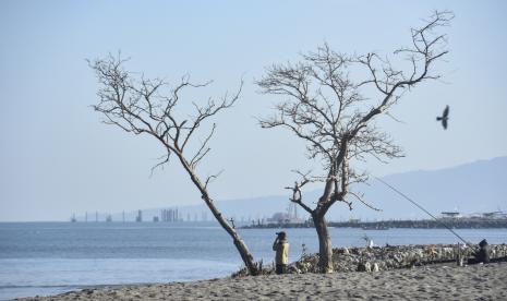 Warga memancing di dekat pohon yang meranggas di pinggiran Pantai Loang Baloq, Kecamatan Sekarbela, Mataram, NTB, Kamis (21/7/2022). Menurut data Badan Meteorologi Klimatologi dan Geofisika (BMKG) NTB menyatakan wilayah NTB mulai masuk puncak musim kemarau 2022 sehingga masyarakat perlu mewaspadai terjadinya kekeringan, kebakaran hutan dan lahan, hingga suhu dingin yang dapat mengganggu aktivitas warga. (Ilustrasi)