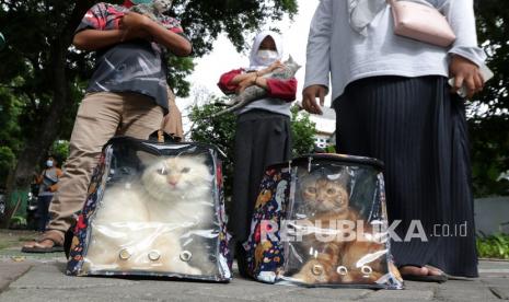 Warga membawa kucing peliharaan untuk mendapatkan layanan vaksin rabies gratis di Pusat Kesehatan Hewan.