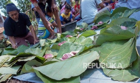 Daun jati digunakan untuk membungkus daging hewan kurban. 