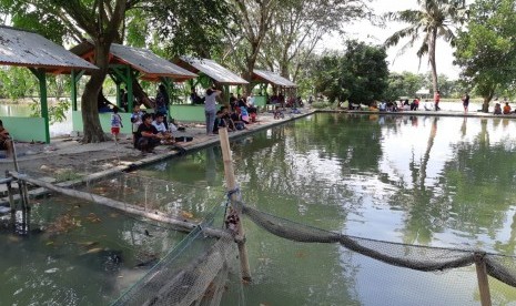 Lomba Mancing di Kolam Pemancingan, Termasuk Judi?