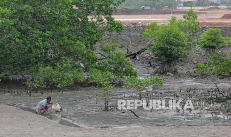 Warga mencari ikan di area hutan bakau (mangrove) yang sebagian telah ditimbun untuk lahan perumahan di Bengkong Sadai, Batam, Kepulauan Riau.