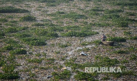 Warga mencari ikan diantara sampah dan eceng gondok di Sungai Citarum Kawasan Batujajar, Kabupaten Bandung Barat, Jawa Barat, Selasa (26/6). 