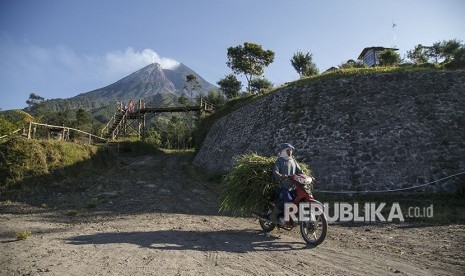 Warga mencari rumput di kawasan lereng Gunung Merapi, Klangon, Cangkringan, Sleman, DI Yogyakarta, Sabtu (12/5). 