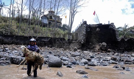 Warga mengevakuasi hewan ternaknya dari dusun Klangon yang terputus akses jalannya akibat lahar dingin Gunung Kelud yang terputus akses jalannya akibat lahar dingin Gunung Kelud di Dusun Klangon, Malang, Jawa Timur, Kamis (20/2).