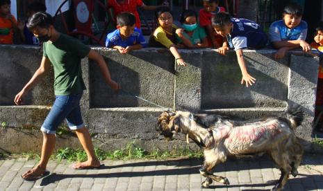 Jenis Hewan Qurban Paling Afdhal. Warga menggiring kambing kurban miliknya menuju masjid jelang perayaan Hari Raya Idul Adha di Malang, Jawa Timur, Senin (19/7/2021). Sejumlah takmir masjid di kawasan tersebut tetap menyelenggarakan shalat Idul Adha dan penyembelihan hewan kurban saat Pemberlakuan Pembatasan Kegiatan Masyarakat (PPKM) Darurat tapi dengan membatasi jumlah jemaah yang hadir.