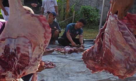 Daging kurban perlu diistirahatkan dengan cara digantung selama satu-dua jam.