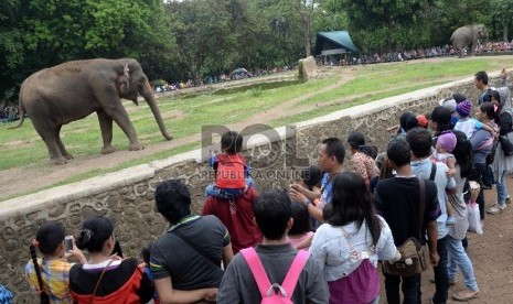 Warga mengisi hari libur berkunjung ke Kebun Binatang Ragunan, Jakarta Selatan, Ahad (27/12).  (Republika/Yasin Habibi)