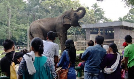 Warga mengisi hari libur dengan mengunjungi Kebun Binatang Ragunan, Jakarta Selatan, Senin (31/3).  (Republika/Yasin Habibi)