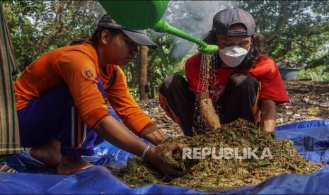 Warga mengolah sampah daun untuk bahan pupuk kompos organik di Ponowareng, Tulis, Kabupaten Batang, Jawa Tengah, Rabu (23/6/2021). Menurut warga, pengelolaan pupuk kompos organik oleh BUMDes Karya Sejahtera itu dalam sehari mampu menghasilkan sebanyak 30-40 kilogram pupuk dari sampah dedaunan dan kotoran hewan yang dijual Rp3.000 per kilogram dan dipasarkan untuk memenuhi kebutuhan petani setempat. 