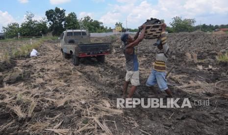 Warga mengusung tanah pada lahan sawah yang terkena proyek jalan Tol Solo-Jogja di Guwokajen, Sawit, Boyolali, Jawa Tengah, Senin (18/10/2021). Warga memanfaatkan tanah lapisan atas pada lahan sawah yang terdampak proyek jalan Tol Solo-Jogja untuk dijual dengan harga Rp180 ribu hingga Rp200 ribu per mobil pikap sebagai bahan dasar pembuatan batu-bata.