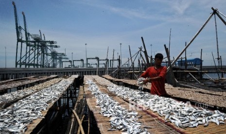  Warga menjemur ikan hasil tangkapan di perkampungan nelayan Kali Baru, Jakarta, Ahad (11\6).