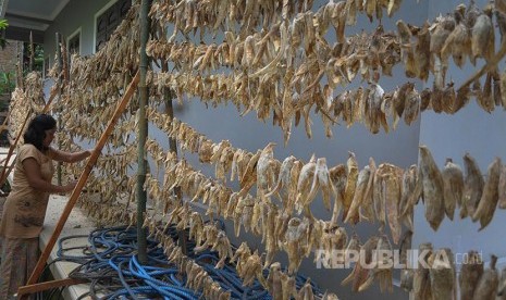 Warga menjemur singkong di Desa Menawan, Gebog, Kudus, Jawa Tengah, Kamis (9/3). Singkong yang di jemur hingga kering atau di sebut Gaplek tersebut di jual Rp20 ribu per karung untuk di jadikan bahan makanan tradisional seperti Tiwul, Gatot dan Kenyol.