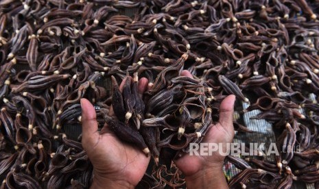 Warga menunjukan teripang yang dijemur di Kampung Nelayan Kenjeran, Surabaya, Jawa Timur, Rabu (28/2). 