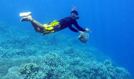 Warga menyelam untuk mengambil sampah di terumbu karang taman laut. ilustrasi 