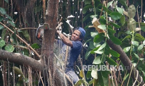 Petugas pertamanan kota sedang menata taman kota (ilustrasi)