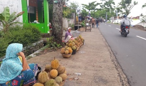 Warga terdampak gempa berjualan durian di depan lokasi pengungsian di Desa Kekait, Kecamatan Gunungsari, Lombok Barat, NTB, Jumat (9/11).