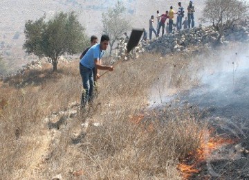 Warga Palestina berusaha memadamkan api yang membakar lahan pertanian akibat ulah pemukim Yahudi