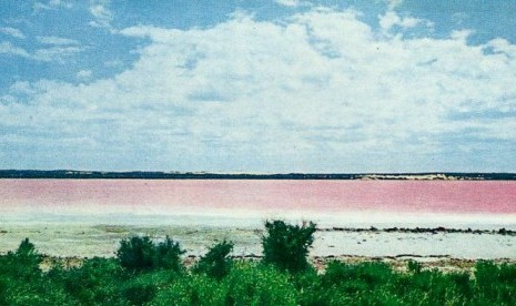 Warna merah muda Pink lake di tahun 1970-anlah yang membuatnya terkenal.