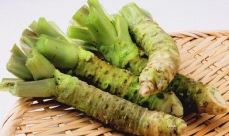 Wasabi baik untuk kesehatan