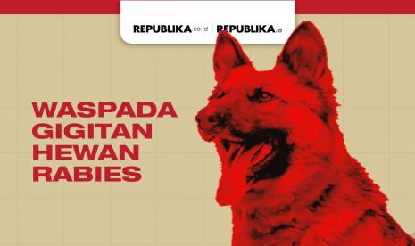 Waspada gigitan hewan rabies (ilustrasi). Salah satu gejala pasien yang digigit hewan rabies di antaranya menjadi takut pada air.