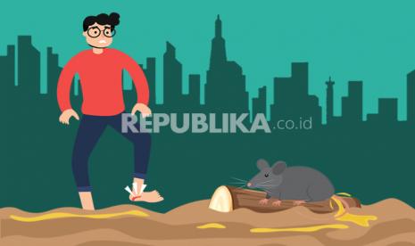 (ILUSTRASI) Penularan penyakit leptospirosis.