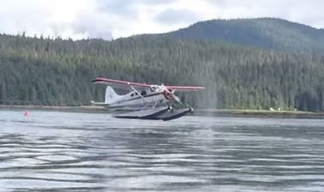 Whale v. Pontoon Plane becomes a hit online (picture)