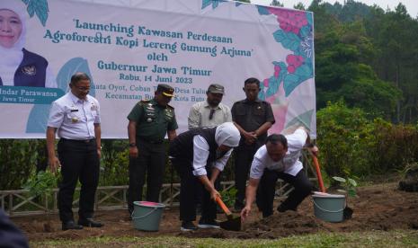 Wilayah Kota Batu kini mempunyai kawasan perdesaan Agroforestri Kopi Lereng Arjuno di Rumah Oyot, Coban Talun, Desa Tulungrejo, Kota Batu, Jawa Timur.