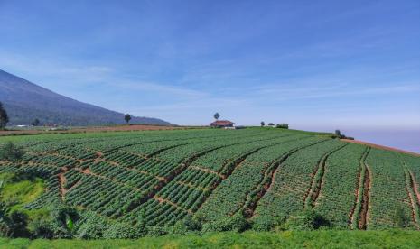 Wisata alam Brakseng di Kota Batu, Jawa Timur (Jatim).