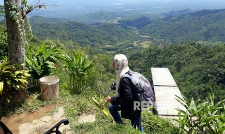 Wisata alam di bukit Ngisis kawasan Kebun Teh Nglinggo Desa Pagerharjo Kecamatan Samigaluh Kulon Progo.