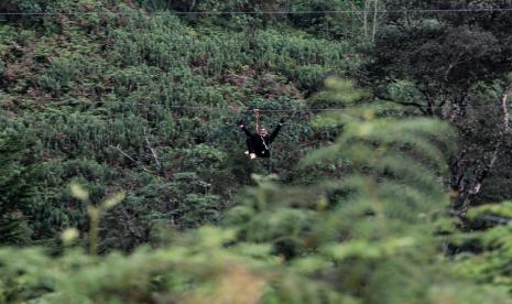 Wisata alam di hutan Kenya. Wabah penyakit baru disebut berpotensi muncul dari hutan hujan di Afrika.