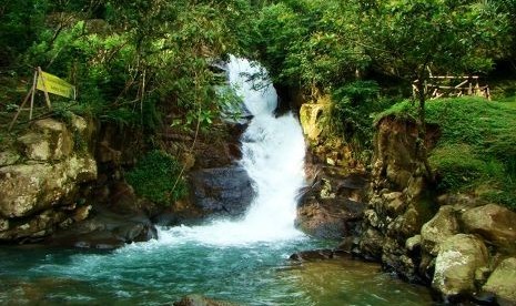 Wisata Curug Panjang, Bogor (ilustrasi)