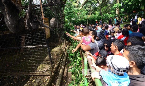 Wisata Kebun Binatang Sejumlah pengunjung memberi makan seekor monyet di Kebun Binatang, Jalan Taman Sari, Kota Bandung, Ahad (1/1).