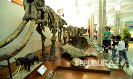 Wisata Museum Geologi Seorang anak bersama orangtunya mengamati fosil hewan purbakala di Museum Geologi, Jalan Diponegoro, Kota Bandung, Selasa (3/1). 