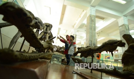 Wisata Museum Geologi Seorang anak bersama orangtunya mengamati fosil hewan purbakala di Museum Geologi, Jalan Diponegoro, Kota Bandung, Selasa (3/1). 