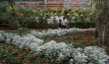 Wisatawan berswa foto bersama keluarganya di Wisata Taman Bunga New Celosia, Bandungan, Kabupaten Semarang, Jawa Tengah, Ahad (20/3/2022). Wisata Taman Bunga New Celosia yang terletak di kaki Gunung Ungaran itu menawarkan pemandangan perbukitan dan berbagai macam koleksi bunga yang menjadi salah satu destinasi wisata favorit saat akhir pekan