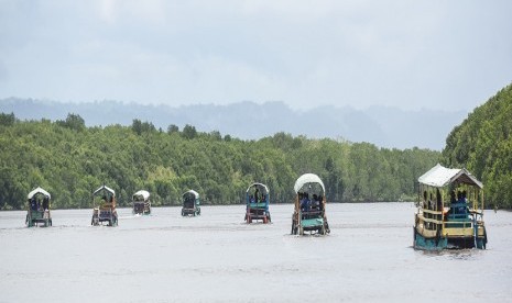 Wisatawan menaiki perahu menyusuri sungai di Mangrove Bedul, Taman Nasional Alas Purwo, Banyuwangi, Jawa Timur, Sabtu (9/1).