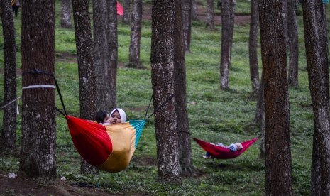 Wisatawan menggunakan hammock menikmati pemandangan hutan pinus di Wisata Alam Batu Kuda, Kabupaten Bandung, Jawa Barat, Selasa (5/2/2019).