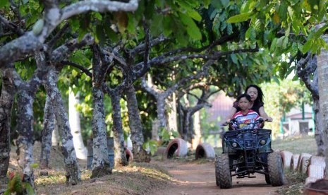  Wisatawan mengitari perkebunan kopi dengan menggunakan kendaraan ATV di Agrowisata Perkebunan Kopi Banaran, Bawen, Kabupaten Semarang, Jawa Tengah, Kamis (23/8). (Aditya Pradana Putra/Republika)